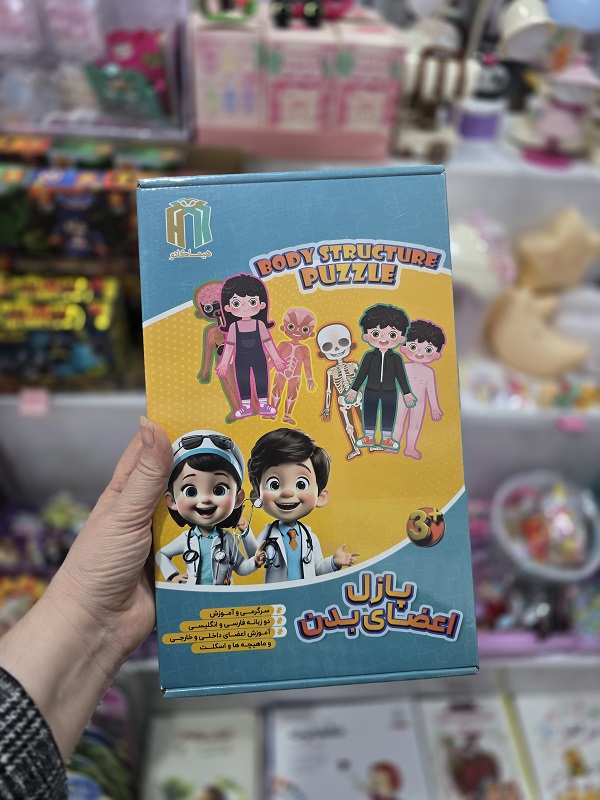 20260103_162656 پازل سه بعدی اعضای بدن